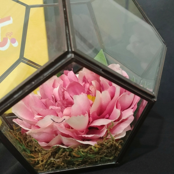 Peony in hexagon vase - Picture 2 of 4
